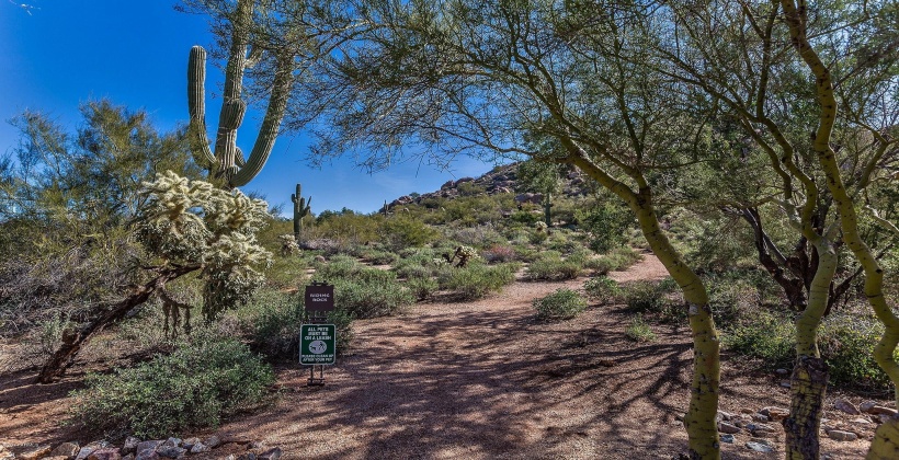 Enjoy learning about the desert flora and fauna on the walking trails in Winfield.