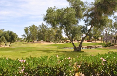 Golf course view