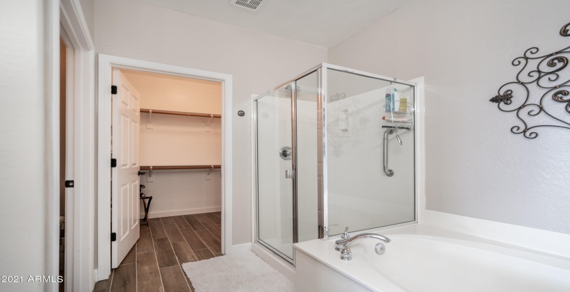 Shower and large soaking tub