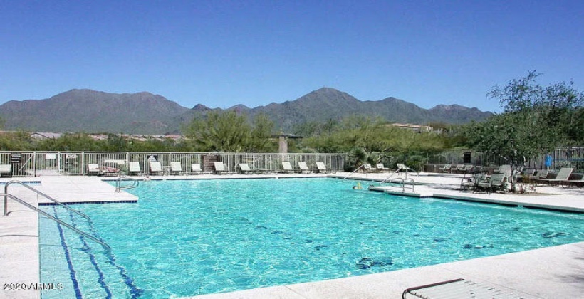 McDowell Mountain Pool