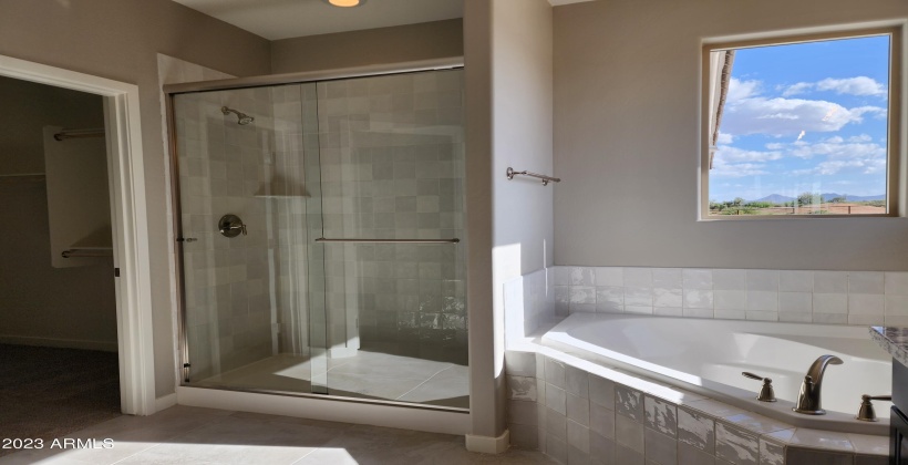 ACTUAL PICTURE OF MASTER BATH, SEPARATE TUB AND SHOWER, WALK IN CLOSET