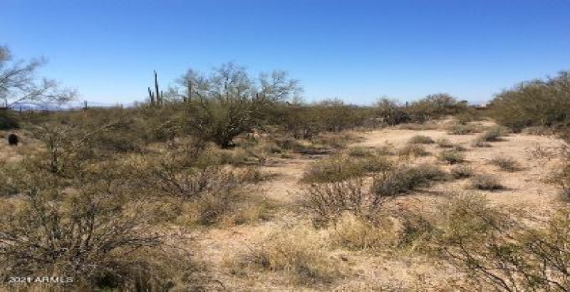 Looking South from North edge of property. Natural Desert Cactus/Trees