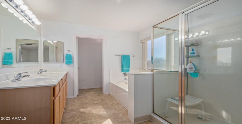 Primary bathroom w/ soaking tub, shower and double vanity