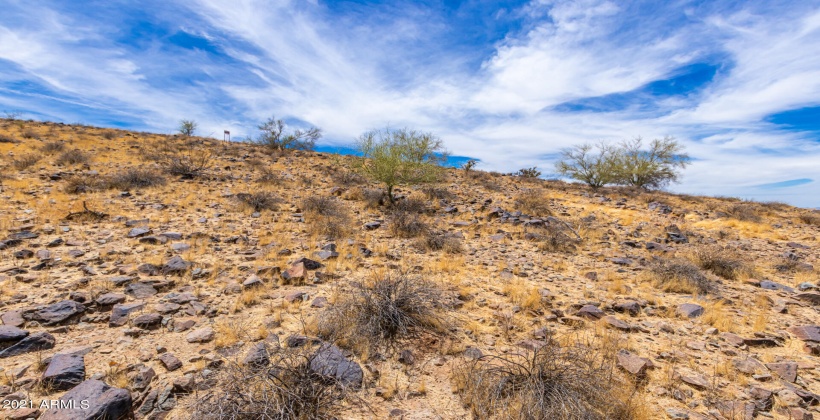 Preserve at Shadow Mountain Community