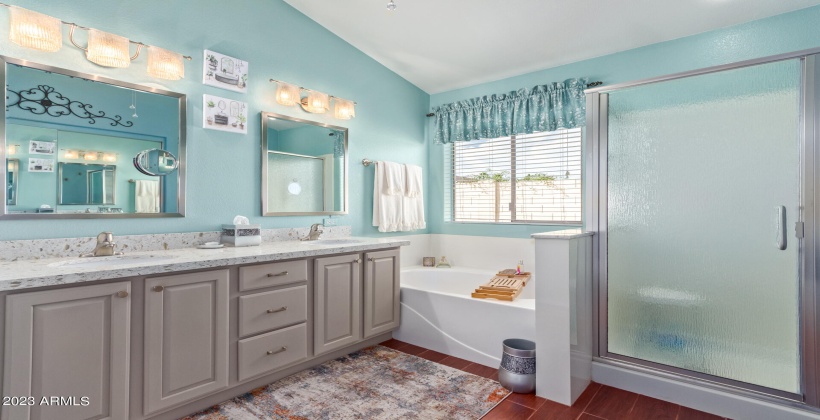 Master Bathroom has a large walk in closet with mirrored doors