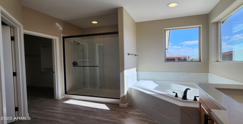 ACTUAL PICTURE OF MASTER BATH, SEPARATE TUB & SHOWER, WALK IN CLOSET