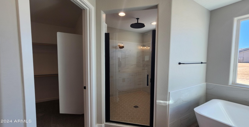 MASTER BATH HUGE SHOWER