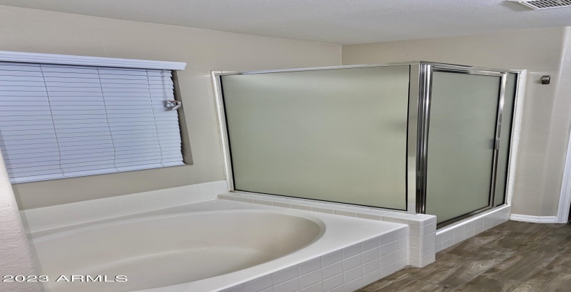 Master Bath - Separate Shower and Tub.