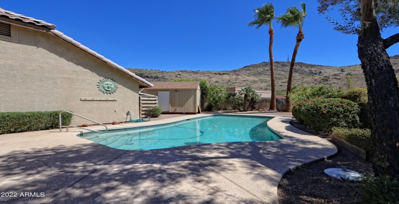 Pebble sheen pool