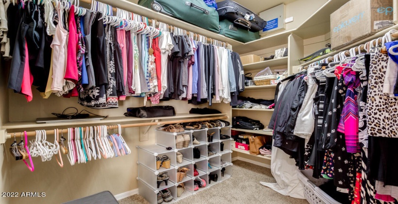 Master Closet 2