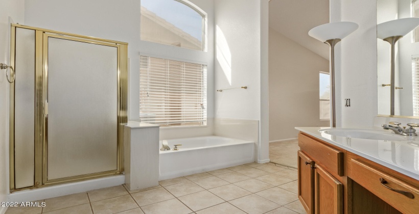 Walk-in shower & garden tub