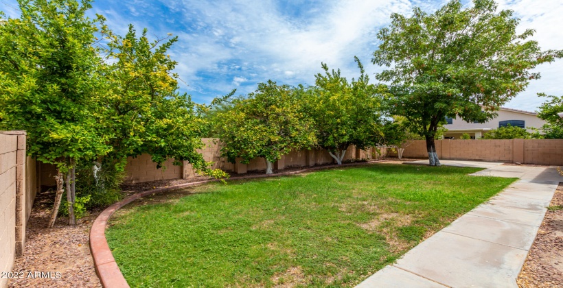 Lush yard backs up to community park