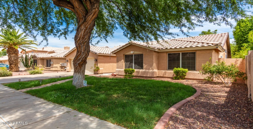 Mature landscaping & a colorful front walk