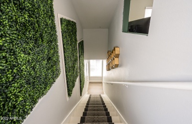 entrance with greenery wall