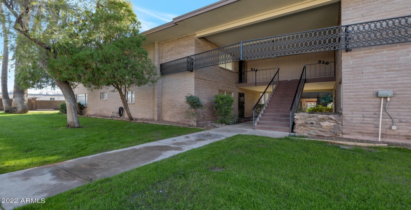 Shade tree near kitchen and primary bedroom