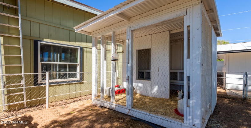 Chicken coop with 5 laying chickens