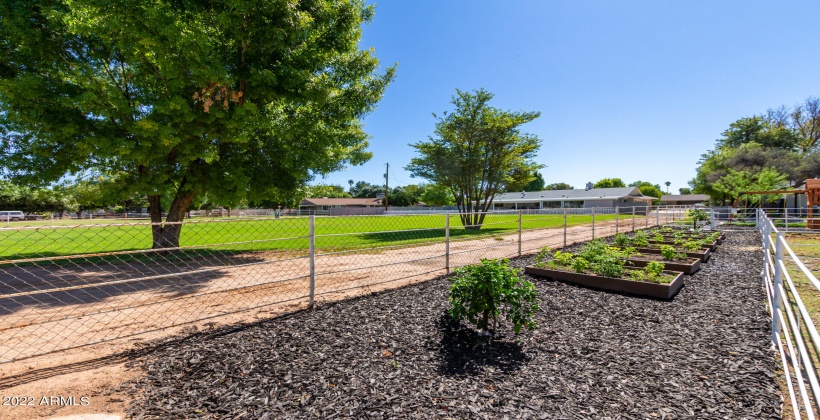 Vegetable Gardens & Citrus Trees