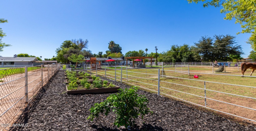 Vegetable Gardens & Citrus Trees